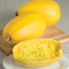 Spaghetti Squash Spaghetti Squash Winter Squash