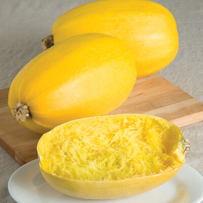 Spaghetti Squash Winter Squash