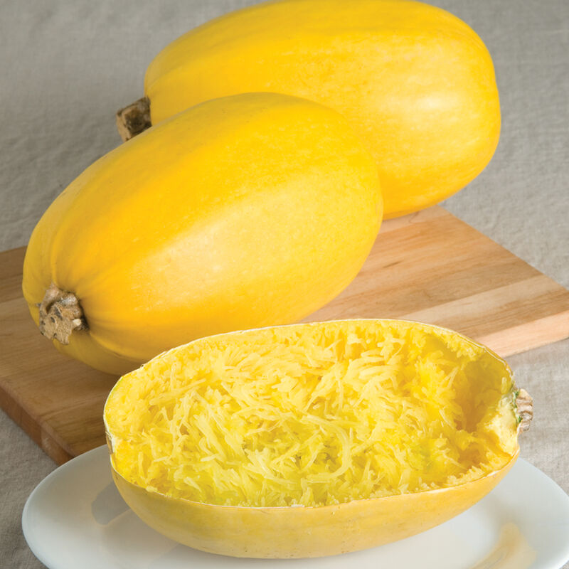 Spaghetti Squash Spaghetti Squash Winter Squash