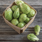Dagan Dagan Brussels Sprouts