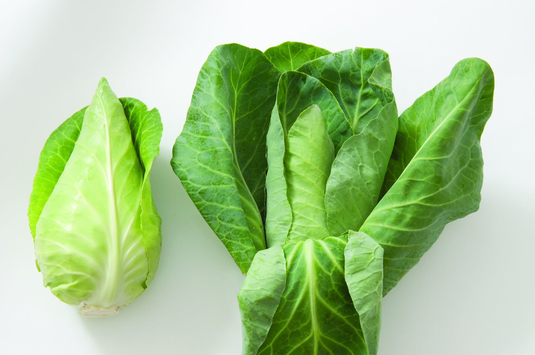 Johnny's Selected Seeds Caraflex Cabbage Seed - Thumbnail 2