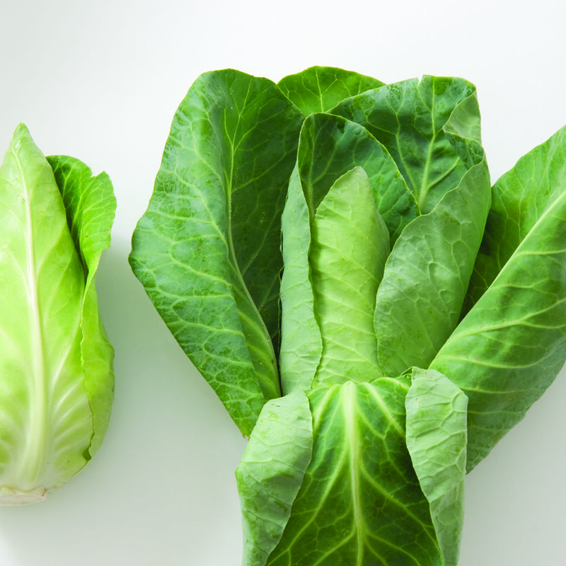 Caraflex Fresh Market Cabbage