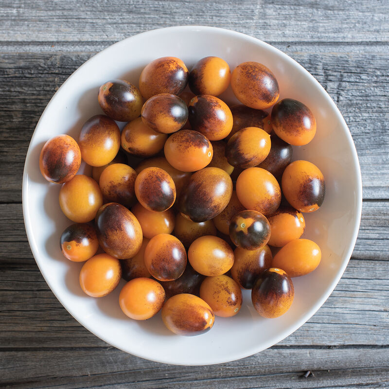 Indigo Kumquat Indigo Kumquat Specialty Tomatoes