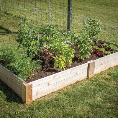 2 Pack!! 10 Gallon Premium Vegetable Grow Bags, Garden Vegetables Planter  Aeration Pot Box - Garden Items, Facebook Marketplace