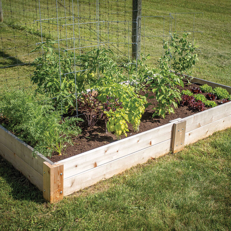 Cedar Raised Garden Bed – 4' x 8' Raised Beds & Planters