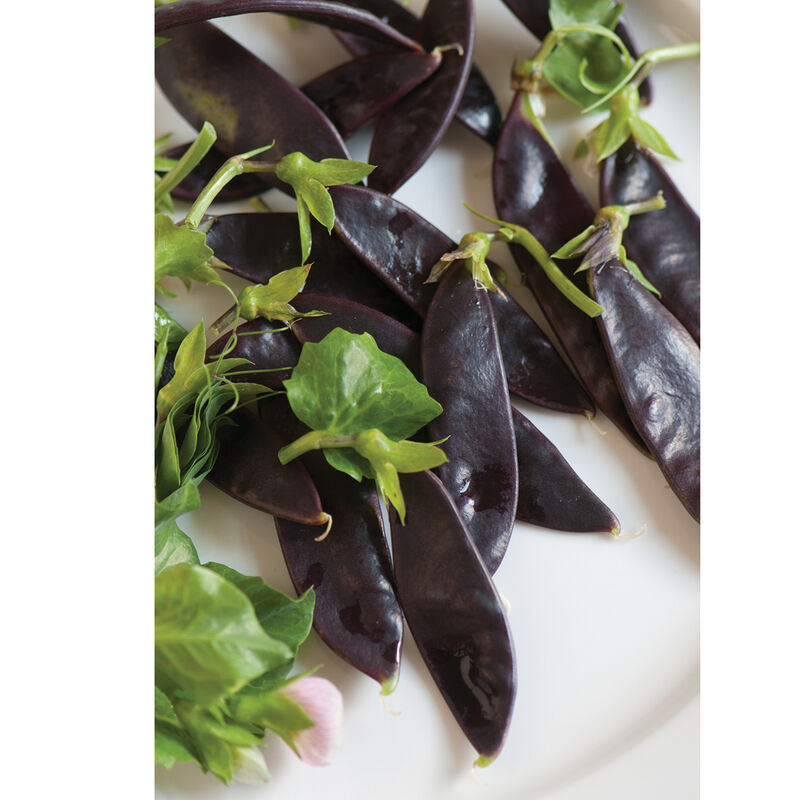 Royal Snow Snow Peas