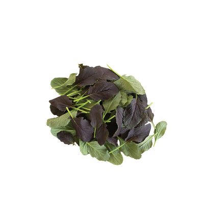 Red Kingdom Asian Greens