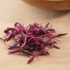 Orach, Ruby Red Microgreen Vegetables