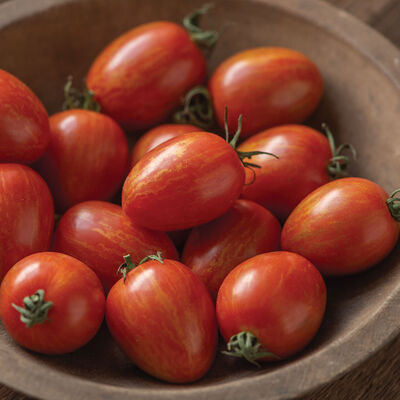 Red Torch Specialty Tomatoes