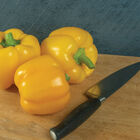 Brocanto Sweet Bell Peppers