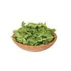 Clodia Endive