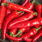 Red Ember Red Ember Hot Peppers