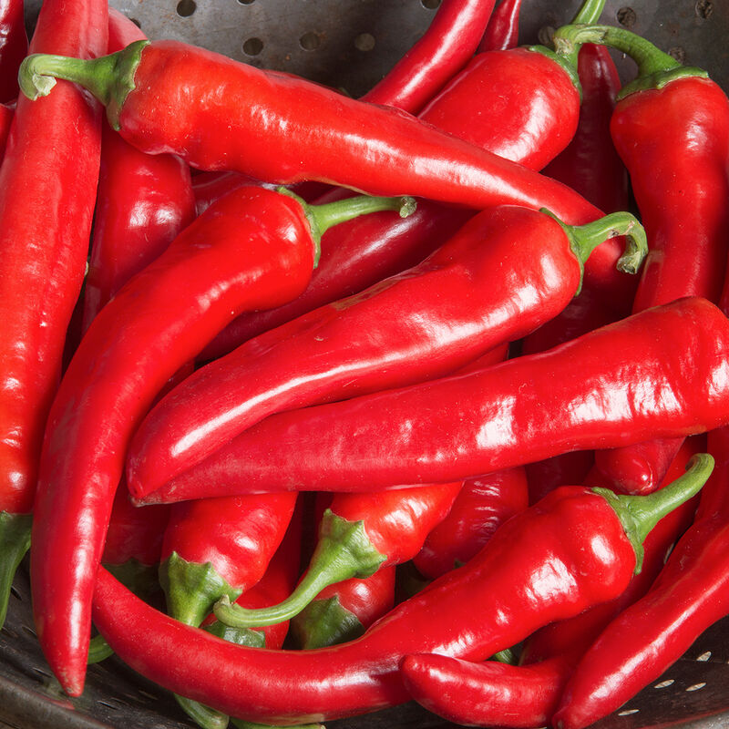 Red Ember Hot Peppers