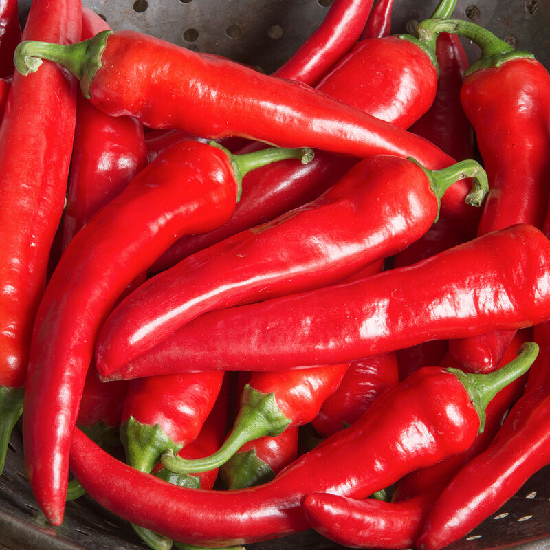 Red Ember Red Ember Hot Peppers
