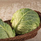 Clarissa Fresh Market Cabbage