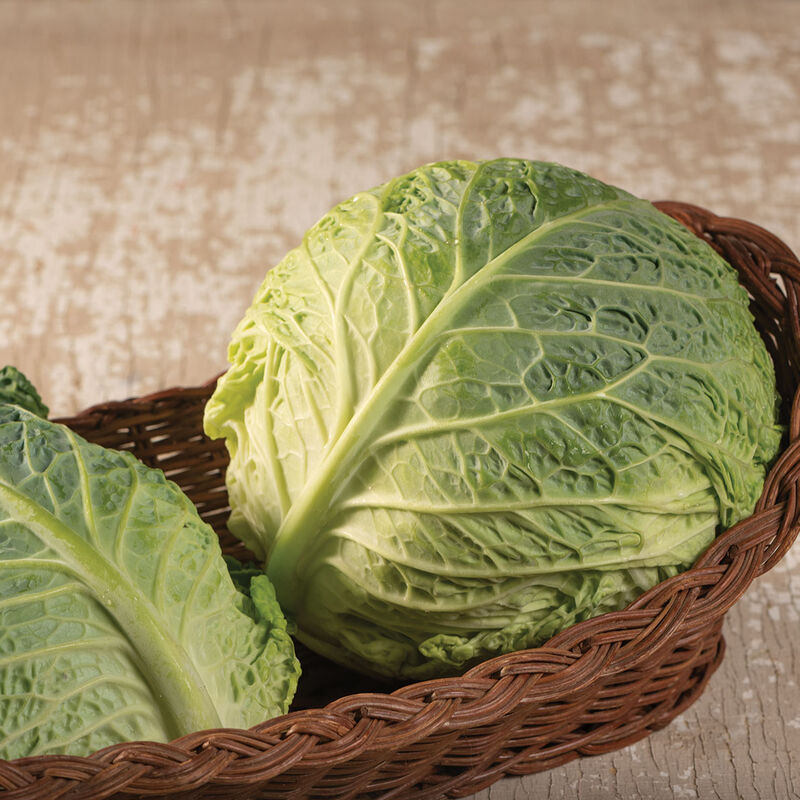Clarissa Fresh Market Cabbage