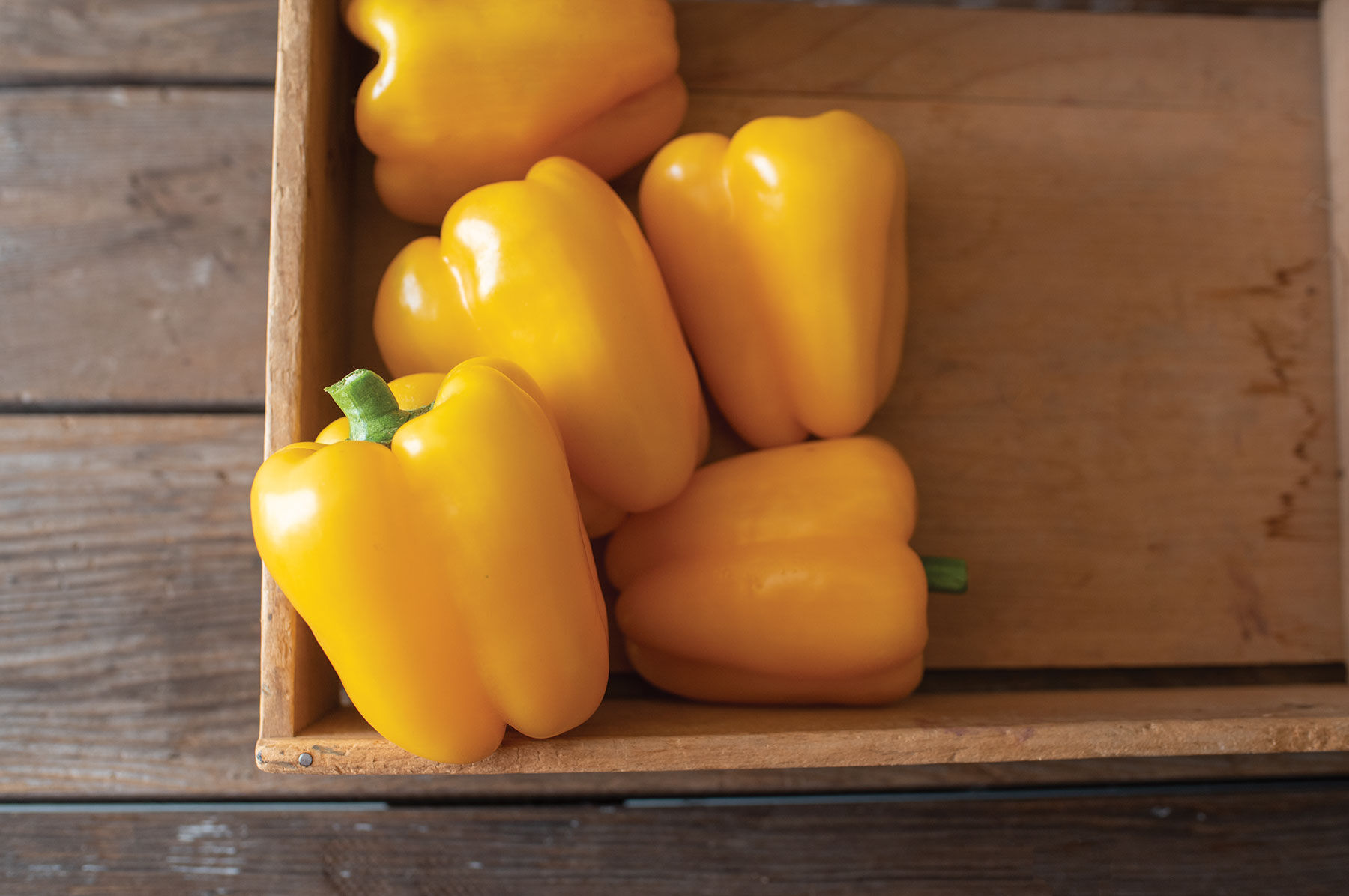 Bell shop pepper seed