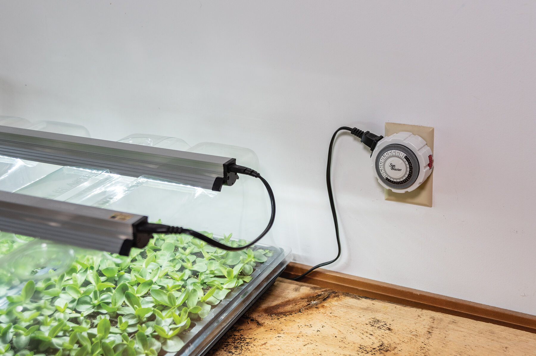 Grow Light Timer 100 Guaranteed Johnny s Selected Seeds