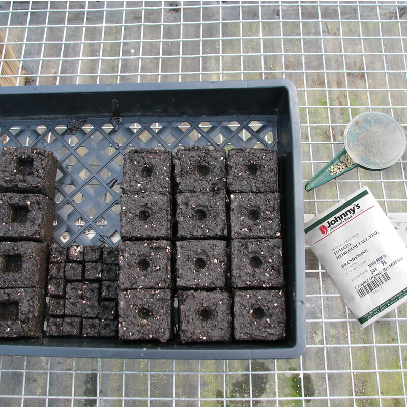 Soil Block Propagation Trays – 50 Count Trays, Domes, and Flats