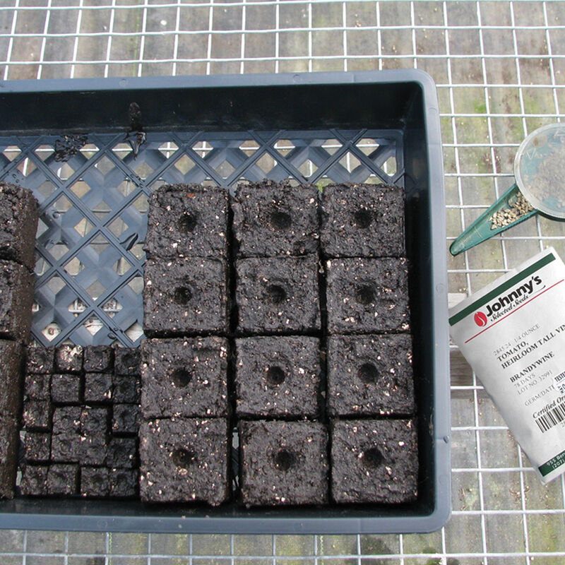 Soil Block Propagation Trays – 5 Count Trays, Domes, and Flats