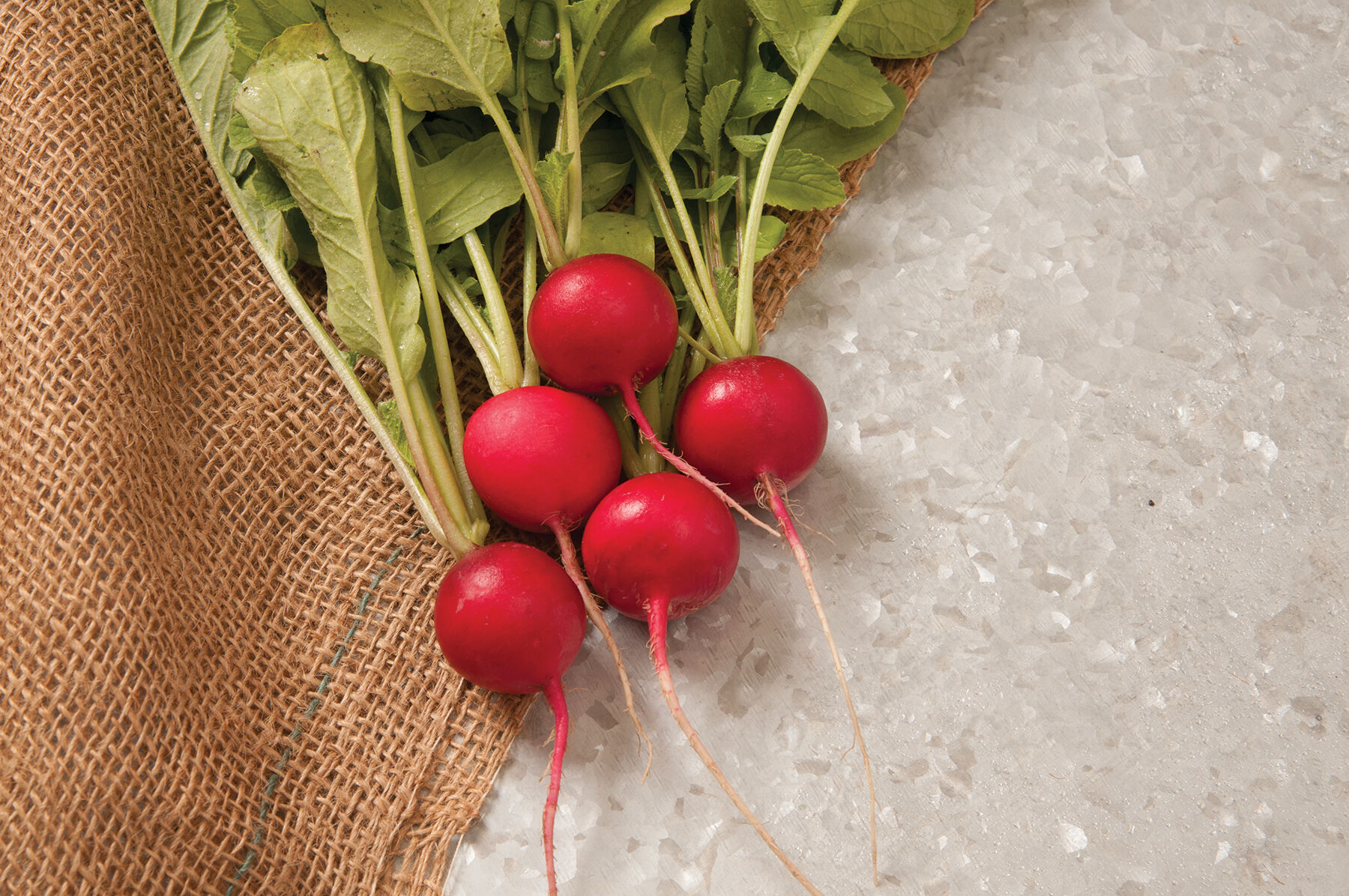 Sora Round Radishes