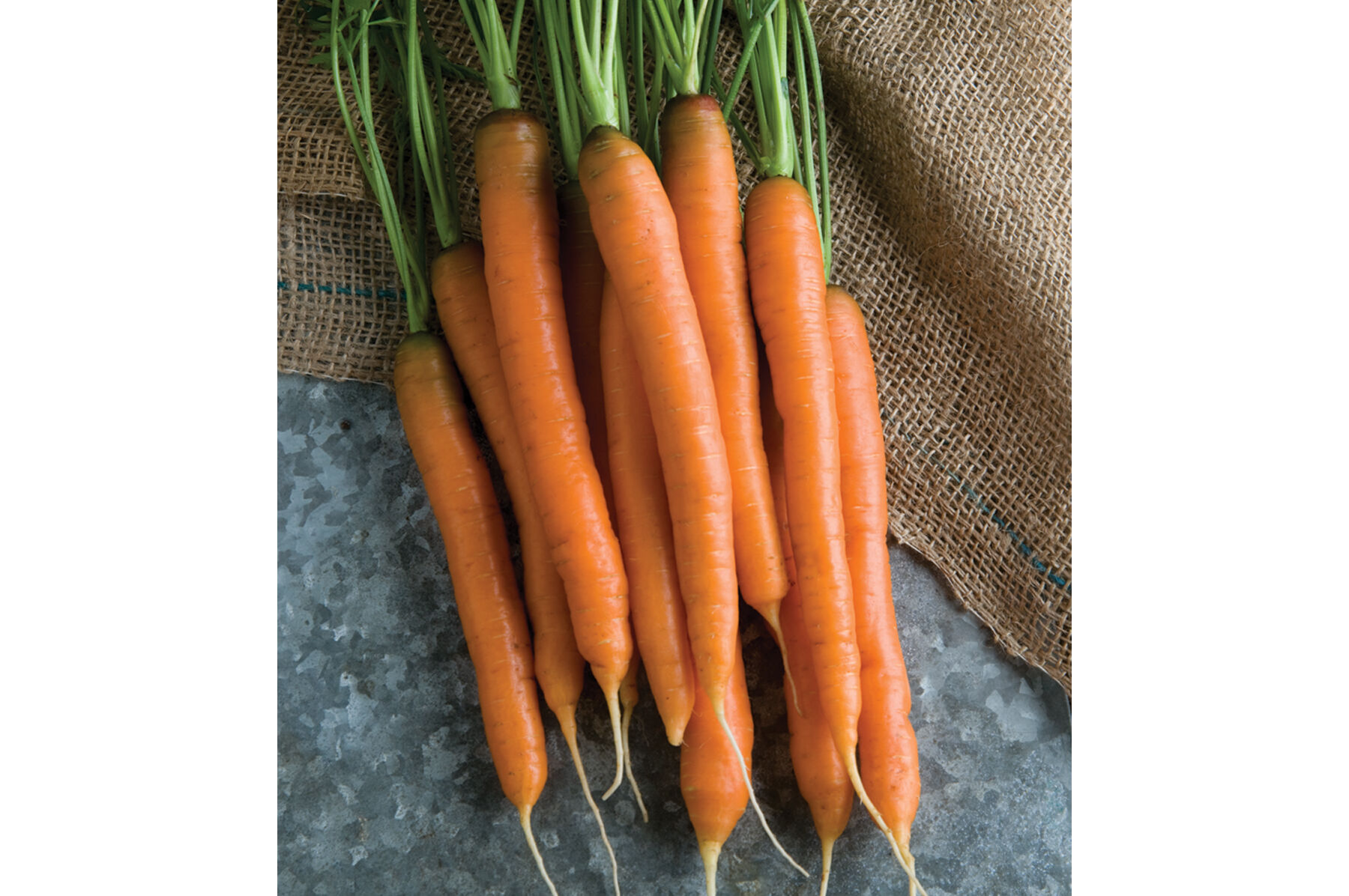 Carrotsです First Street Carrots, Diced - Smart & Final