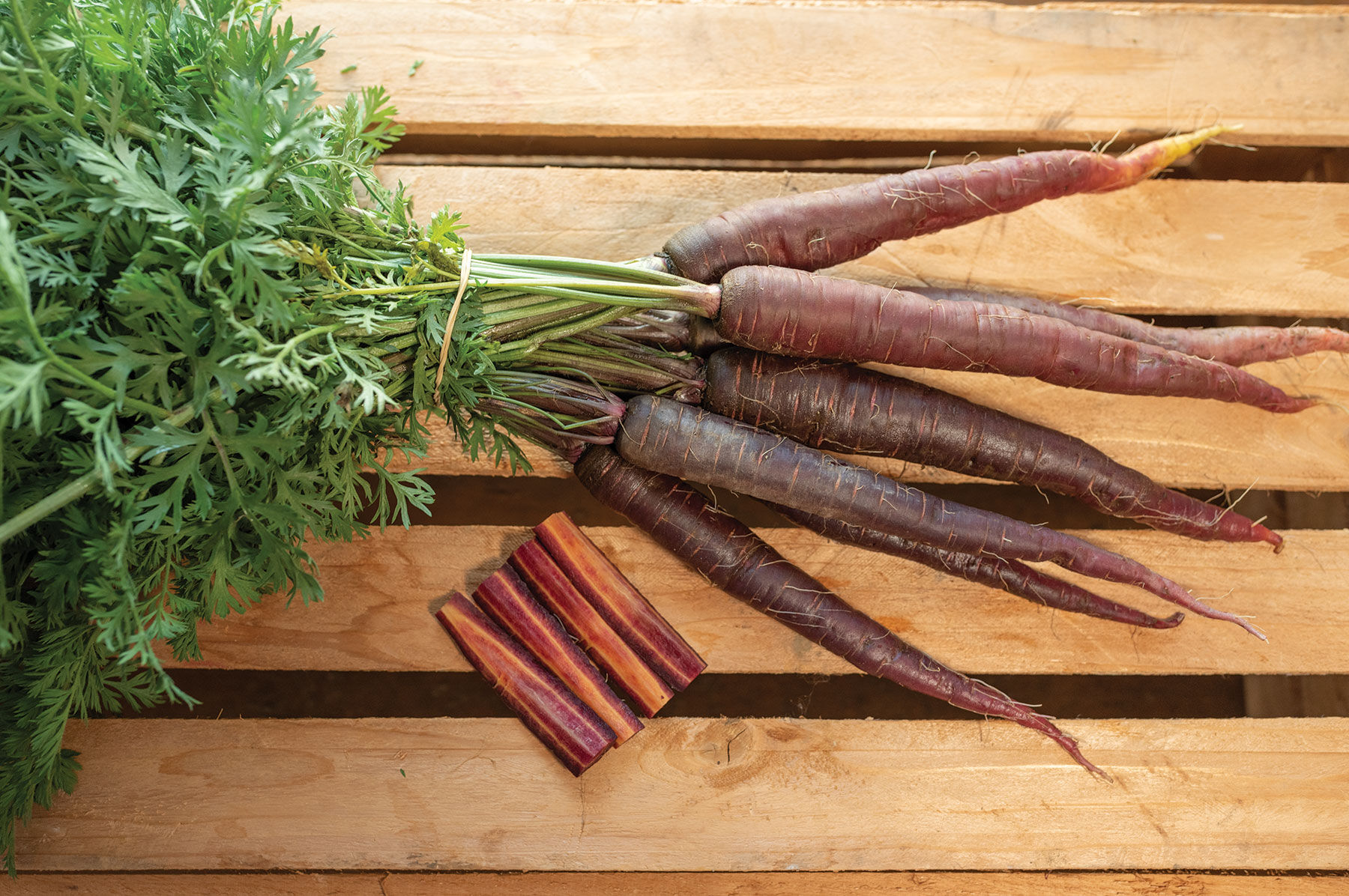 Purple Sun (F1) - Purple Carrot Seeds | Johnny's Selected Seeds