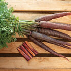Purple Sun Colored Carrots