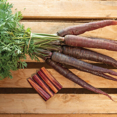 Purple Sun Colored Carrots