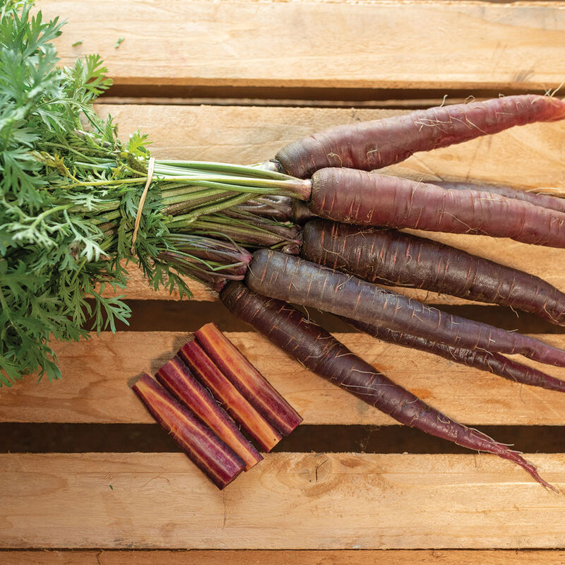 Purple Sun Colored Carrots