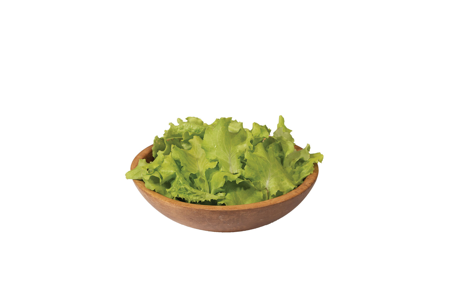 Black Seeded Simpson Leaf Lettuce