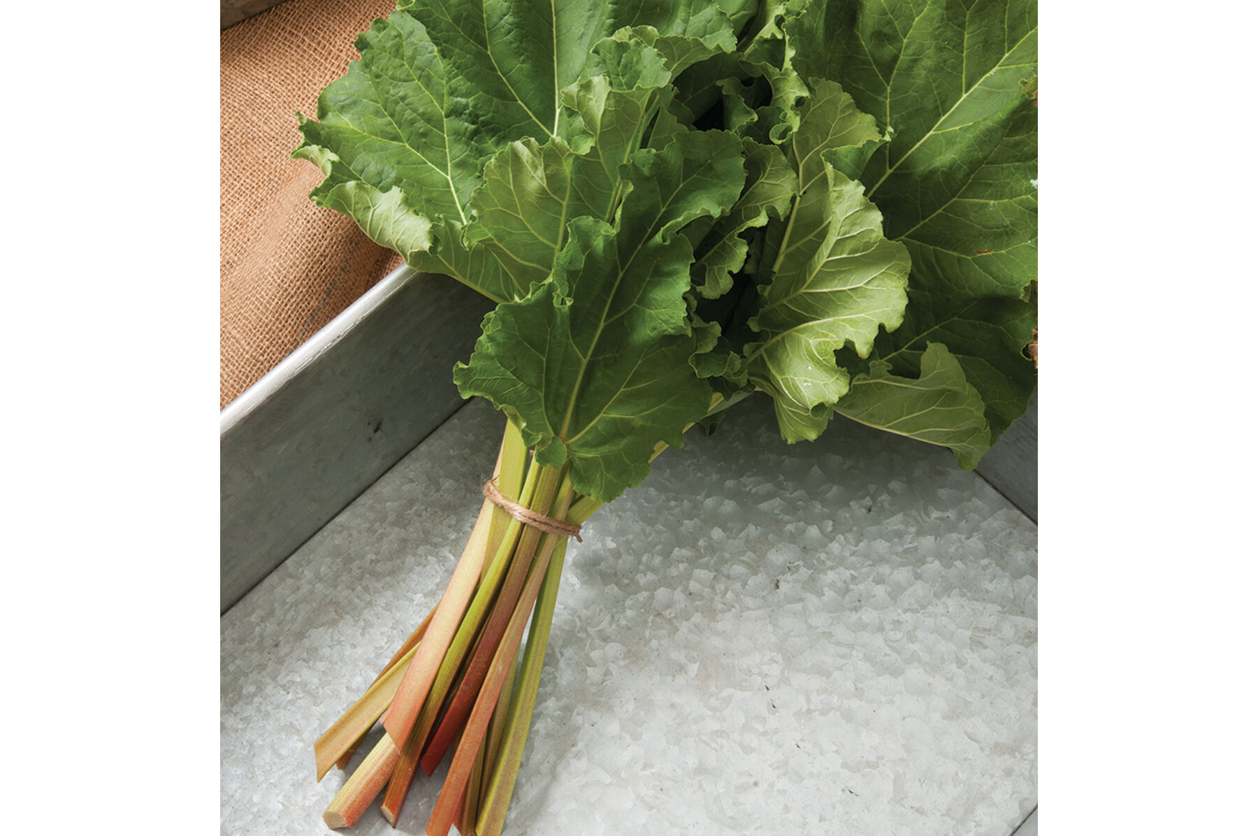 Victoria Rhubarb Crowns