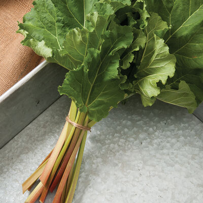 Victoria Victoria Rhubarb Crowns