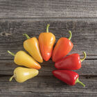 Havasu Hot Peppers