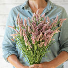 Flamingo Feather Celosia