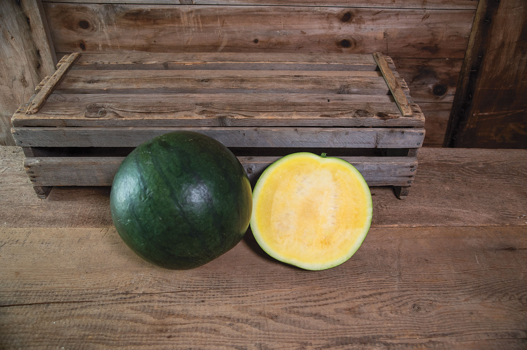 Tropical Sunshine - Seedless Watermelon | Johnny's Selected Seeds