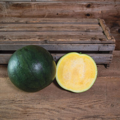 Tropical Sunshine Triploid Watermelons (Seedless)