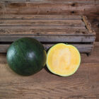 Tropical Sunshine Triploid Watermelons (Seedless)
