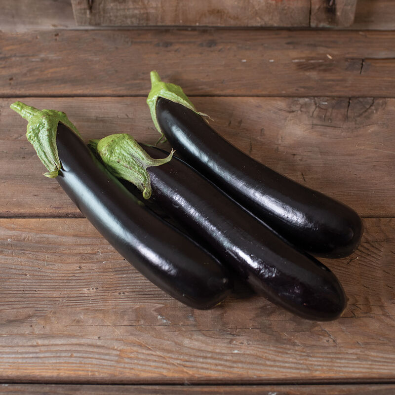 SEED KEEPING — The Scarlet Eggplant is also called the Garden