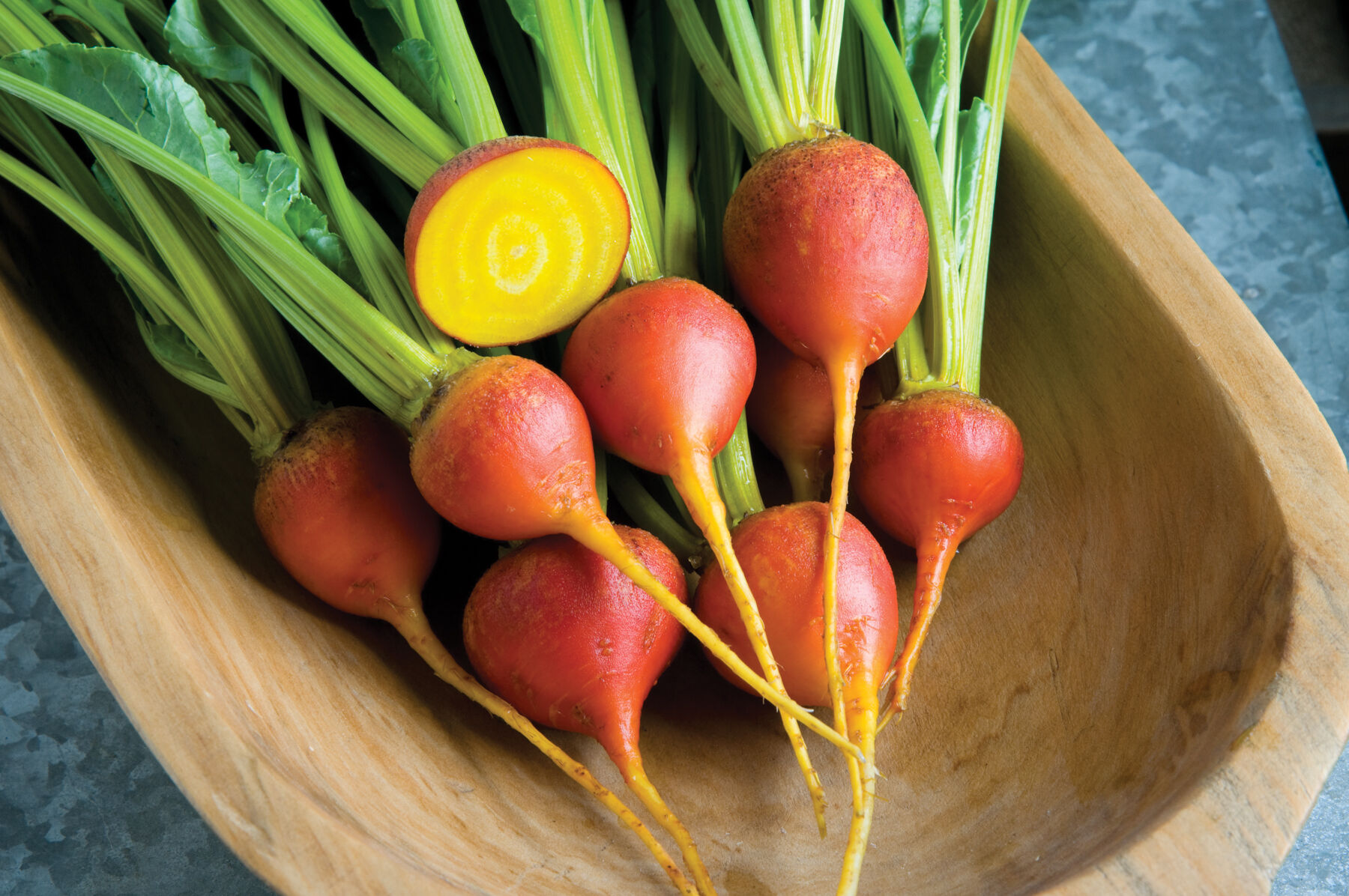 Touchstone Gold - Organic Golden Beet Seeds | Johnny's Selected Seeds