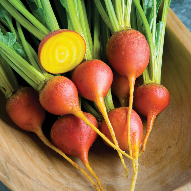 Touchstone Gold Specialty Beets