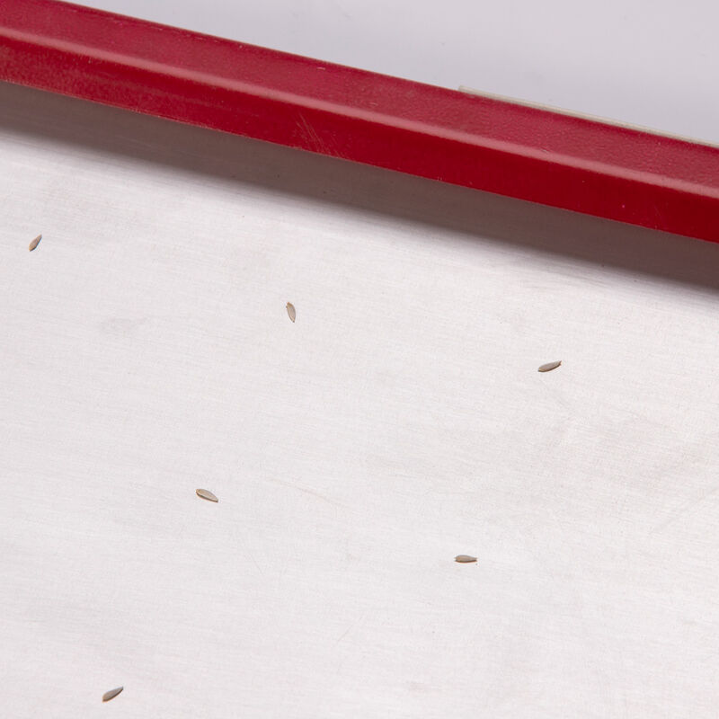 Seed Plate C50 Seed Starting Supplies