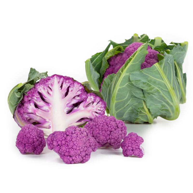 Lavender Standard Cauliflower