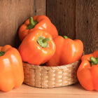 Milena Sweet Bell Peppers