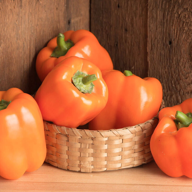 Milena Sweet Bell Peppers