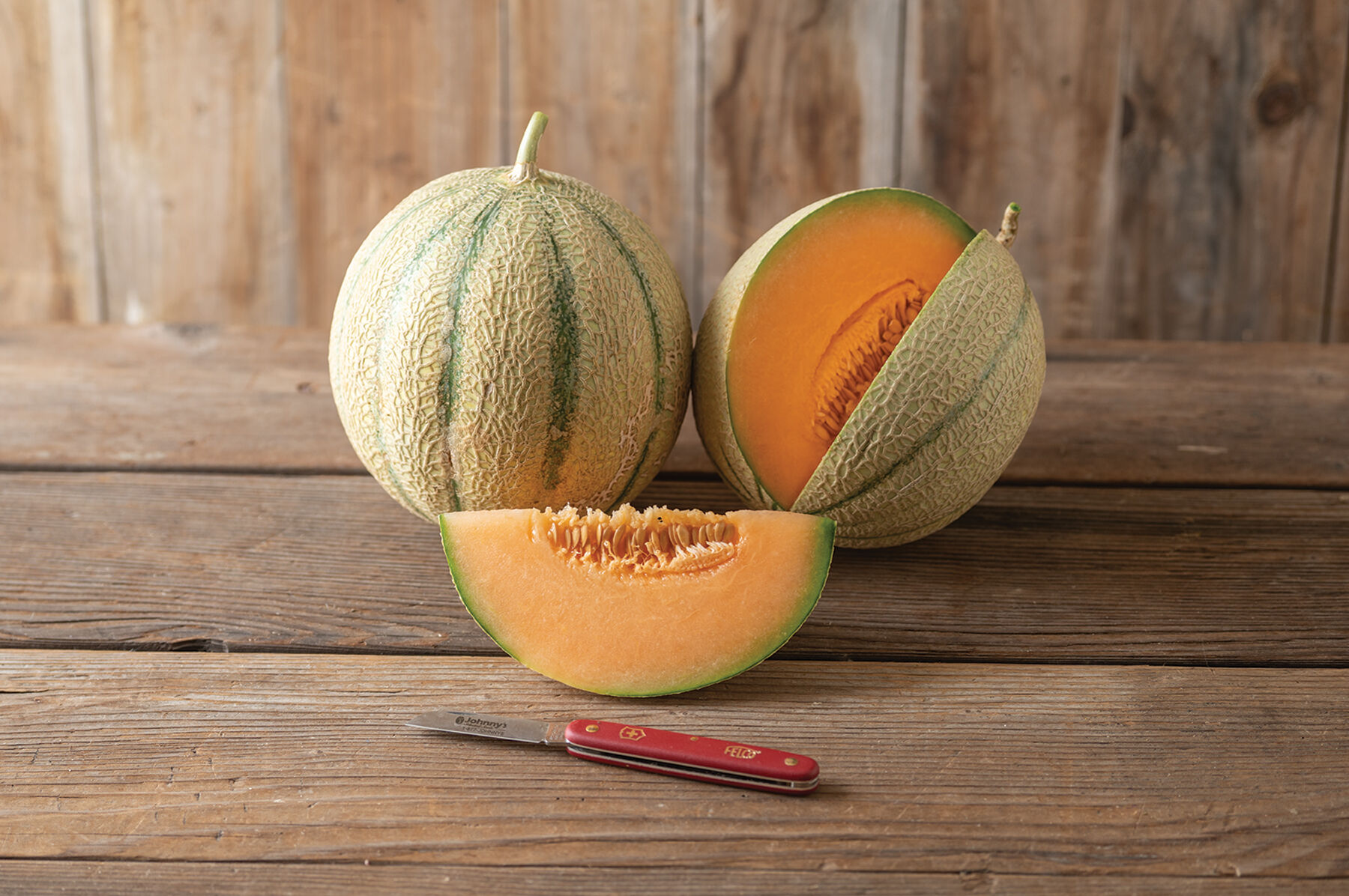 Cantaloupe melon sales