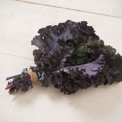 Frisé Rouge Kale