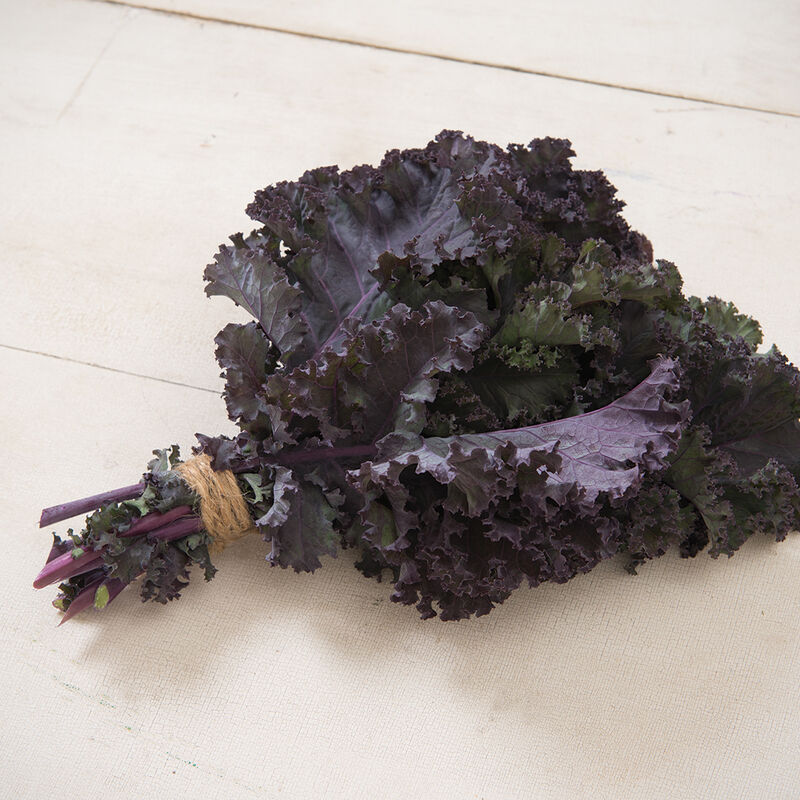 Scarlet Scarlet Kale