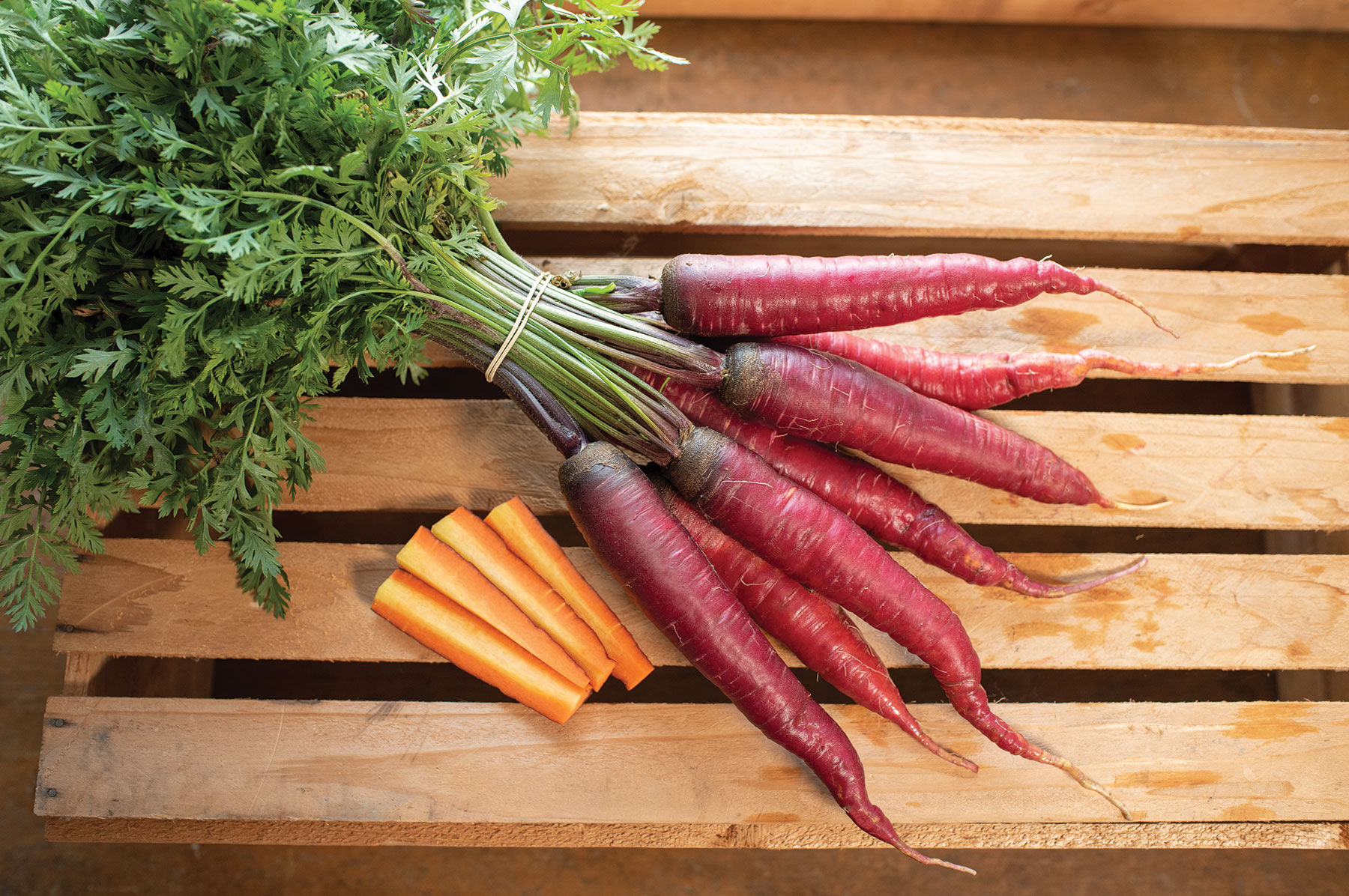 全国送料無料の通販 Dragon - Pelleted Carrot Seed | Johnny's Selected Seeds 語学・辞書・学習参考書