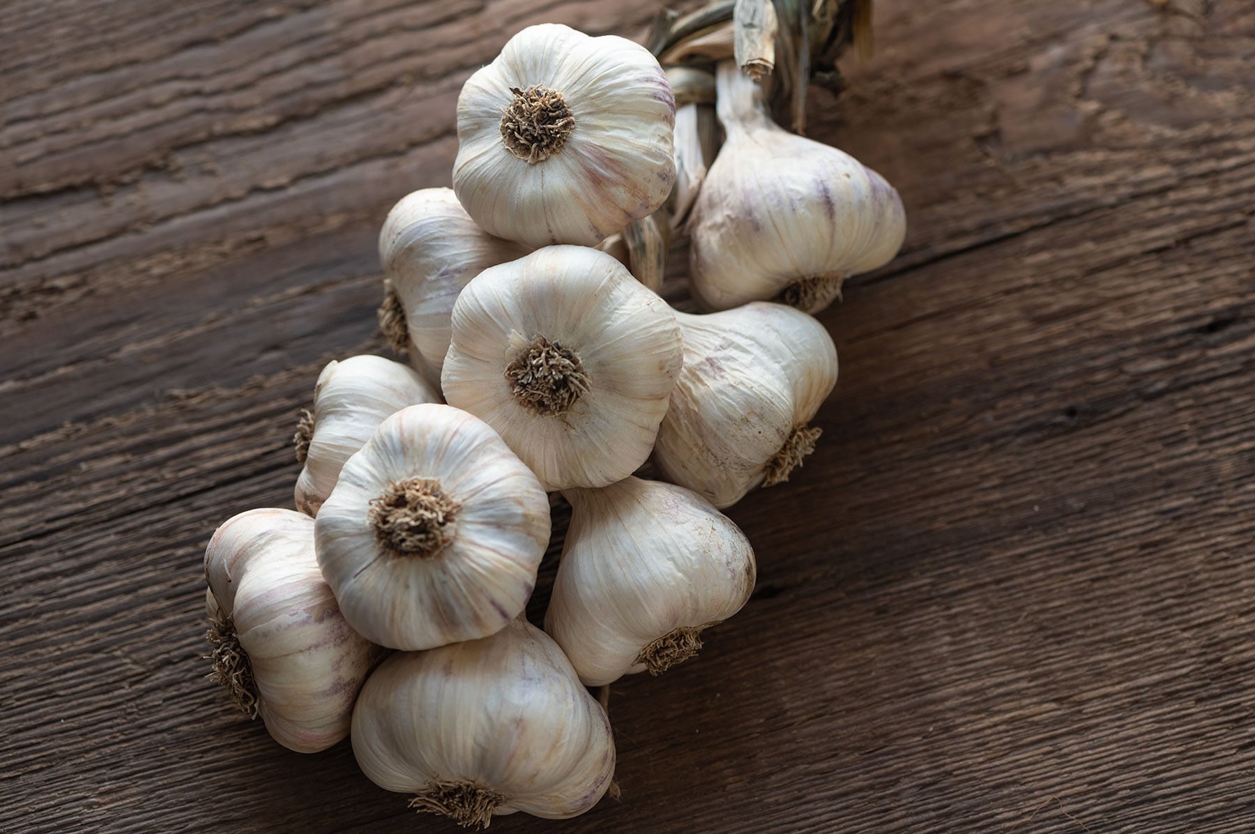 Inchelium Red Garlic